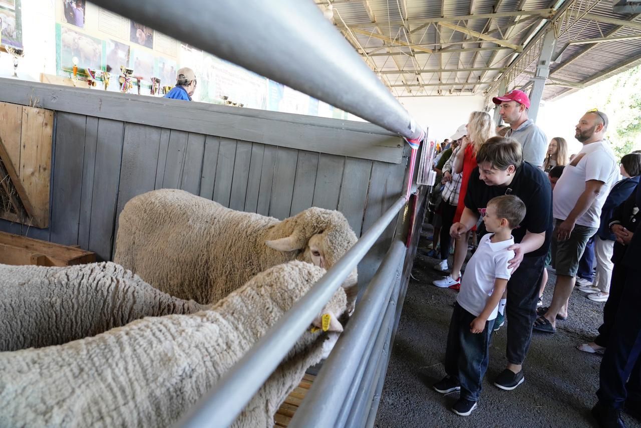 Крупная сельскохозяйственная выставка-ярмарка открылась в Ставропольском крае