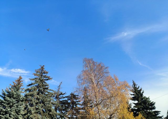 Ставрополье встретит последнюю осеннюю неделю теплом