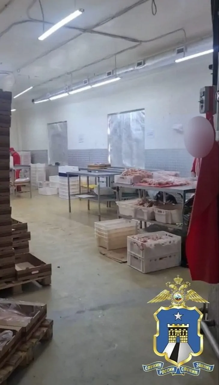 На Ставрополье за две недели выявили более 650 нарушений миграционного законодательства