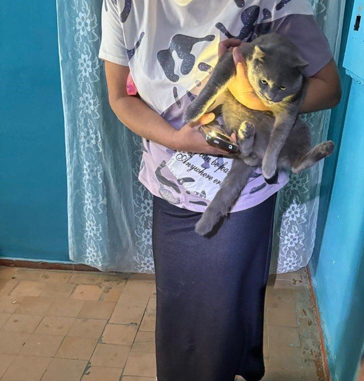 Ставропольские спасатели вызволили застрявшего в электрощите кота