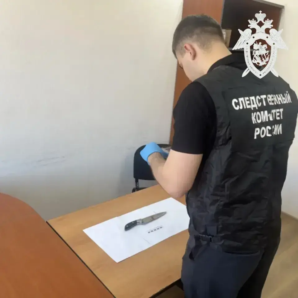 Жительница Ставрополья ответит в суде за убийство знакомого