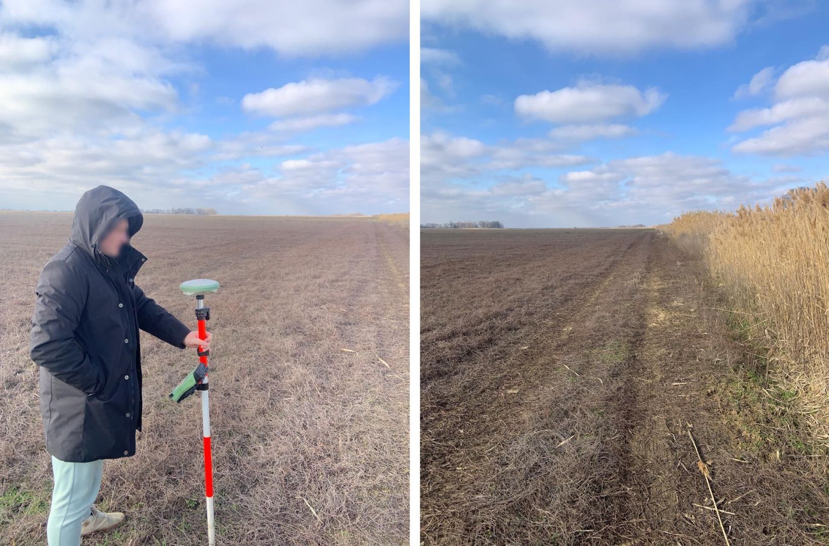 Ставропольчанка получила «условку» за обман краевого минсельхоза