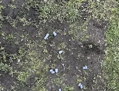 Несовершеннолетний иностранец пытался сбыть наркотики на Ставрополье