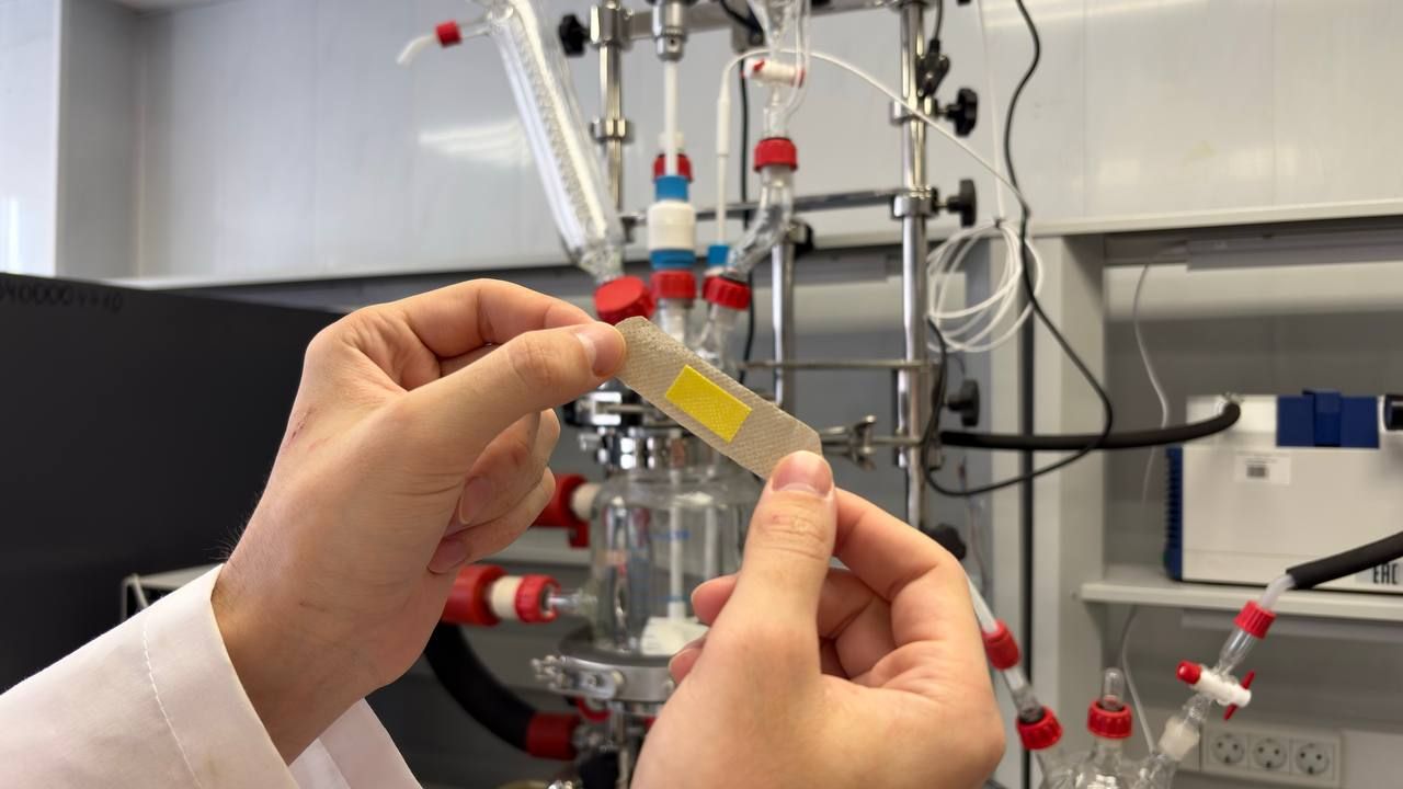 Ставропольский студент разрабатывает ранозаживляющий пластырь