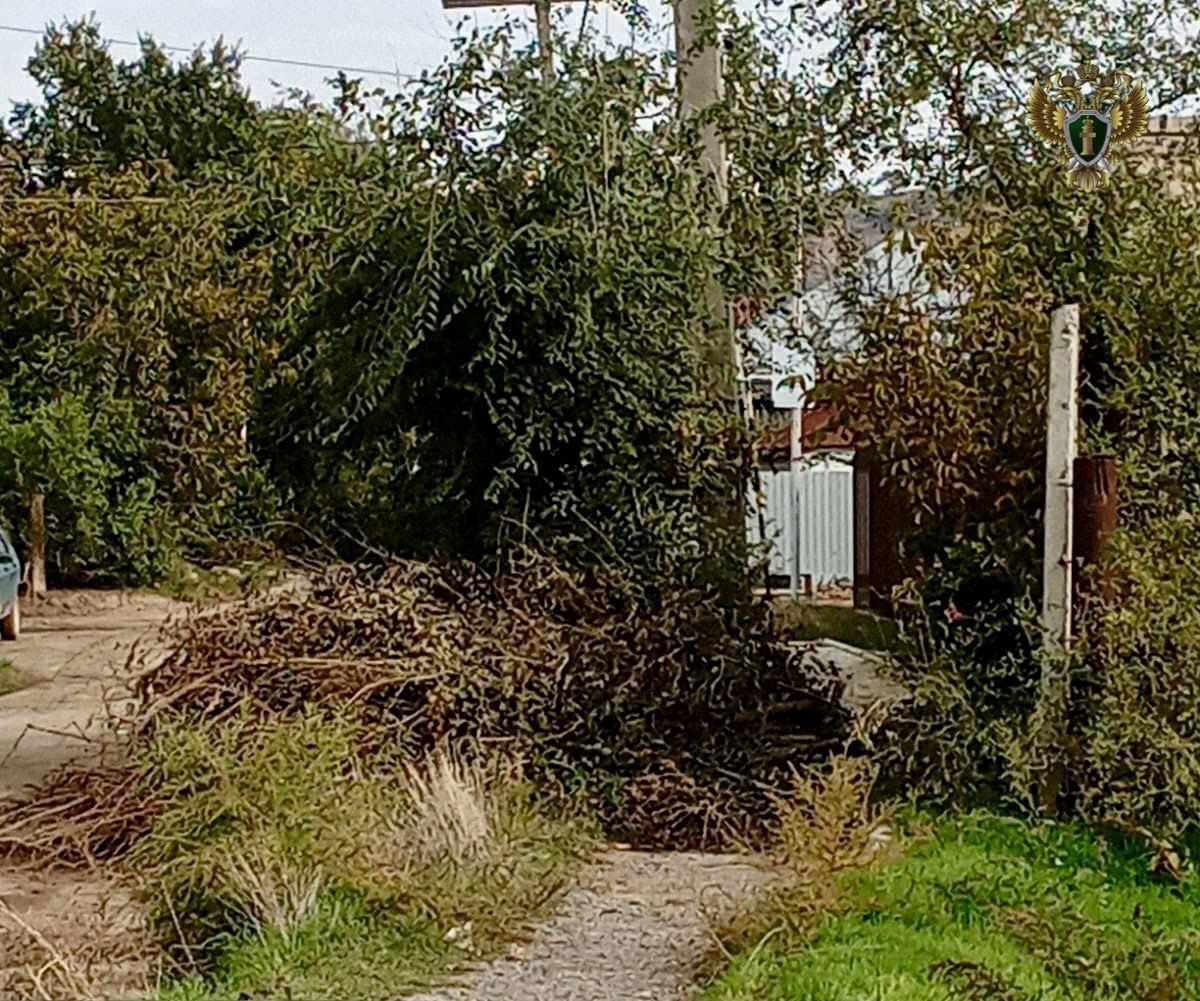 В Светлограде после вмешательства прокуратуры ликвидировали свалку