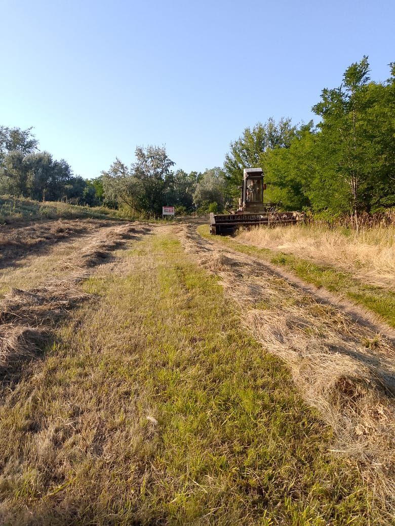 На Ставрополье заготовили более 50 тонн сена для оленей и косуль