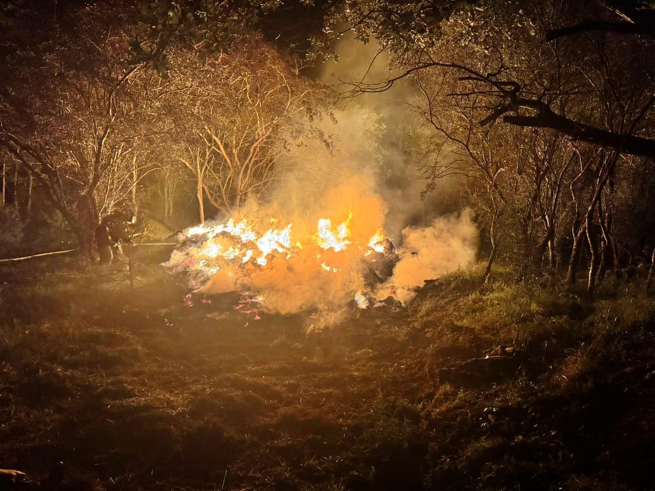 Пьяная ставропольчанка сожгла 300 тюков сена из мести