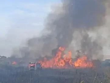 Два гектара камыша сгорели в Шпаковском округе