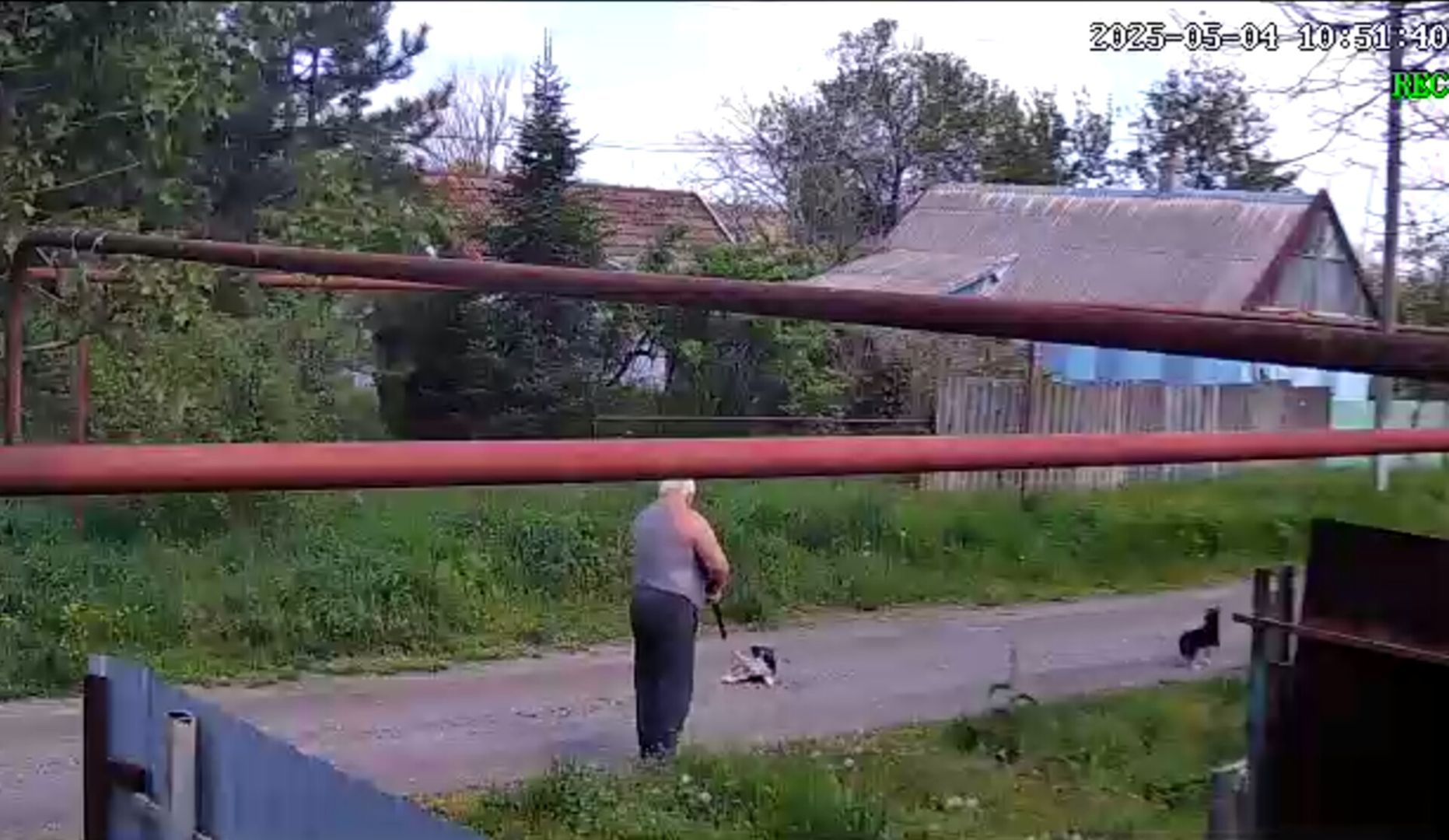 На Ставрополье осудили мужчину, выстрелившего в щенка