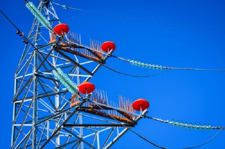 Четыре сотни птицезащитных устройств установили на ЛЭП Ставрополья