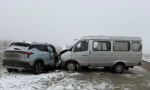 Четыре человека пострадали в аварии с «Газелью» на Ставрополье