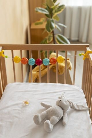 Студенческие семьи Ставрополья смогут брать напрокат предметы первой необходимости для младенцев
