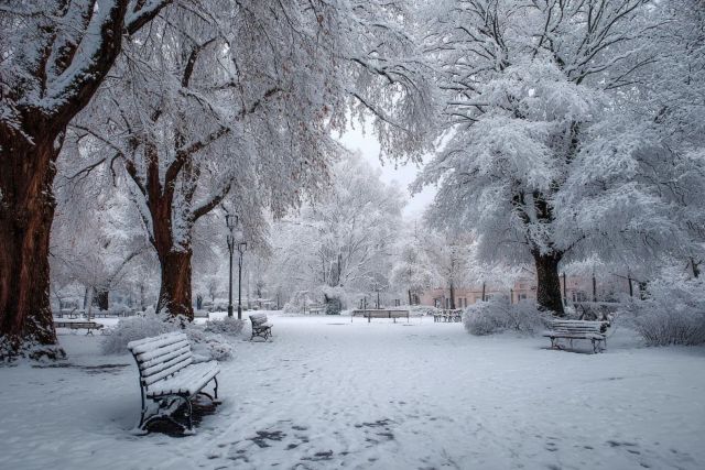 Где гулять зимой, чтобы было красиво и не холодно: идеи для выходных