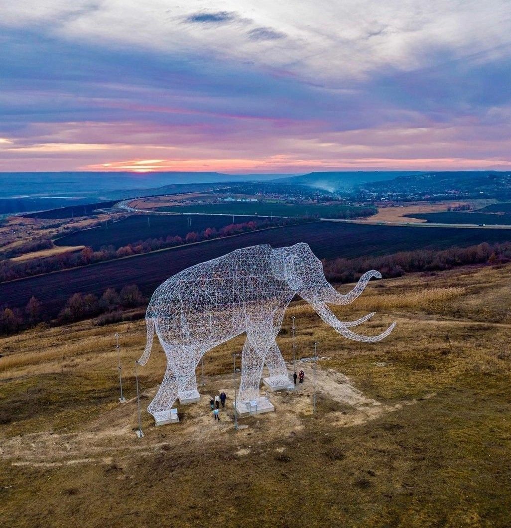 Вырос трафик у Слона: билайн зафиксировал рост популярности ставропольского арт-объекта