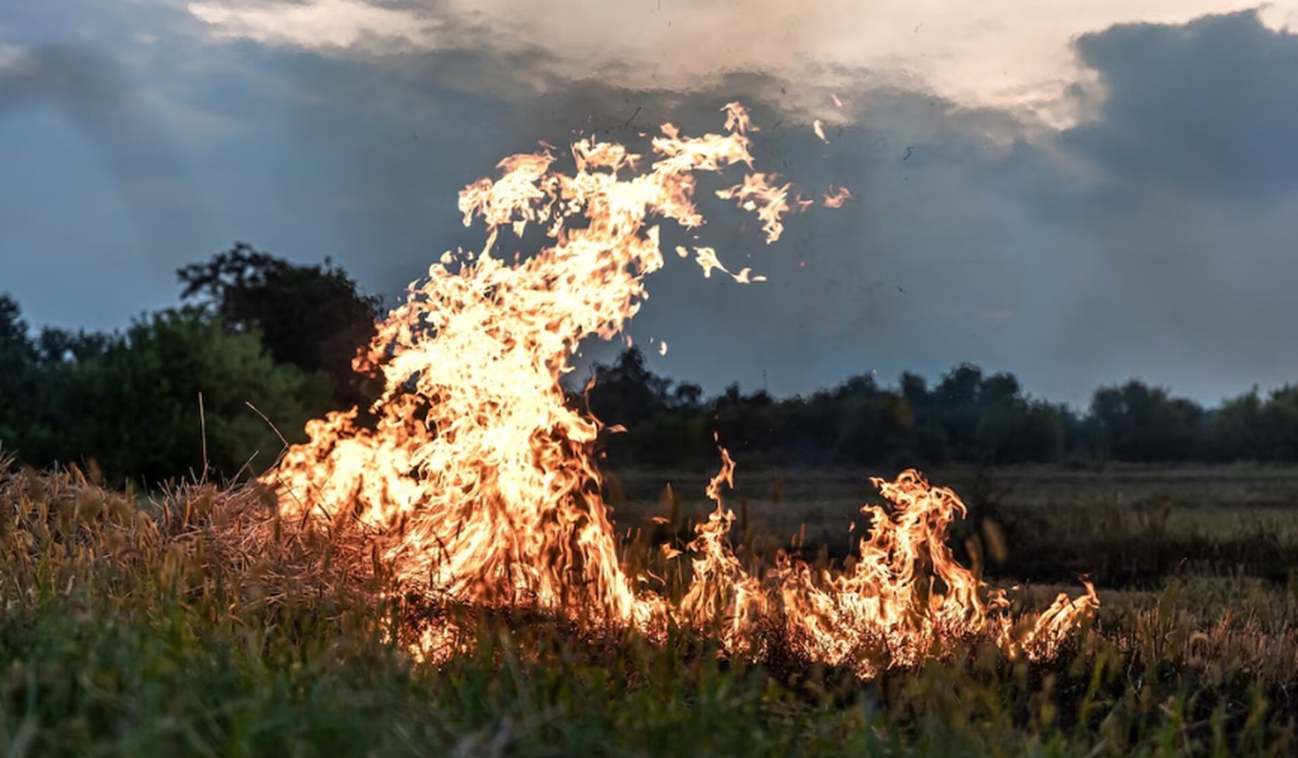 Чрезвычайная пожароопасность объявлена 10 и 11 июня на Ставрополье