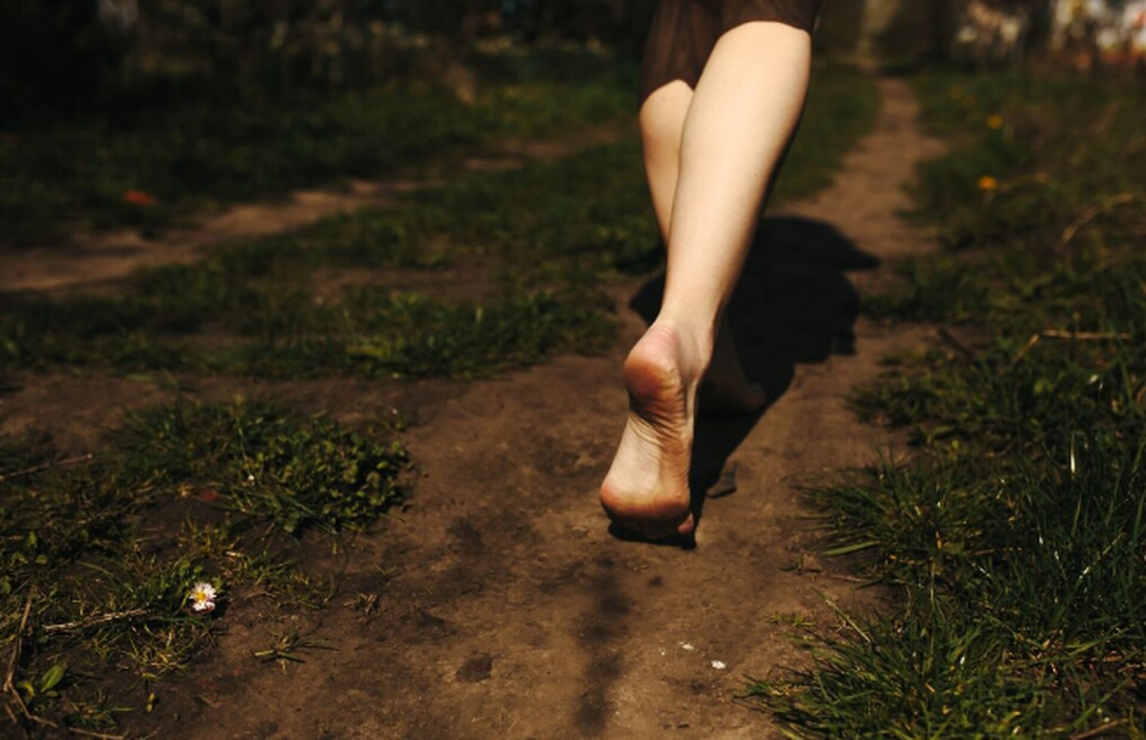 Тактильная тропа появится в Курортном парке Железноводска