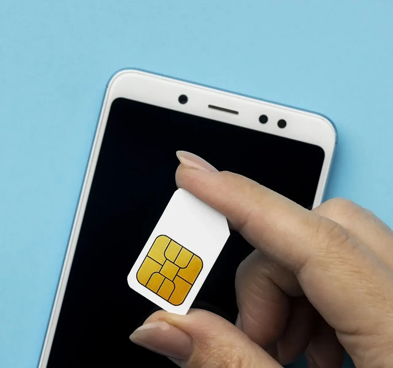 Авито открыл категорию сим-карт: первым оператором на платформе стал Билайн