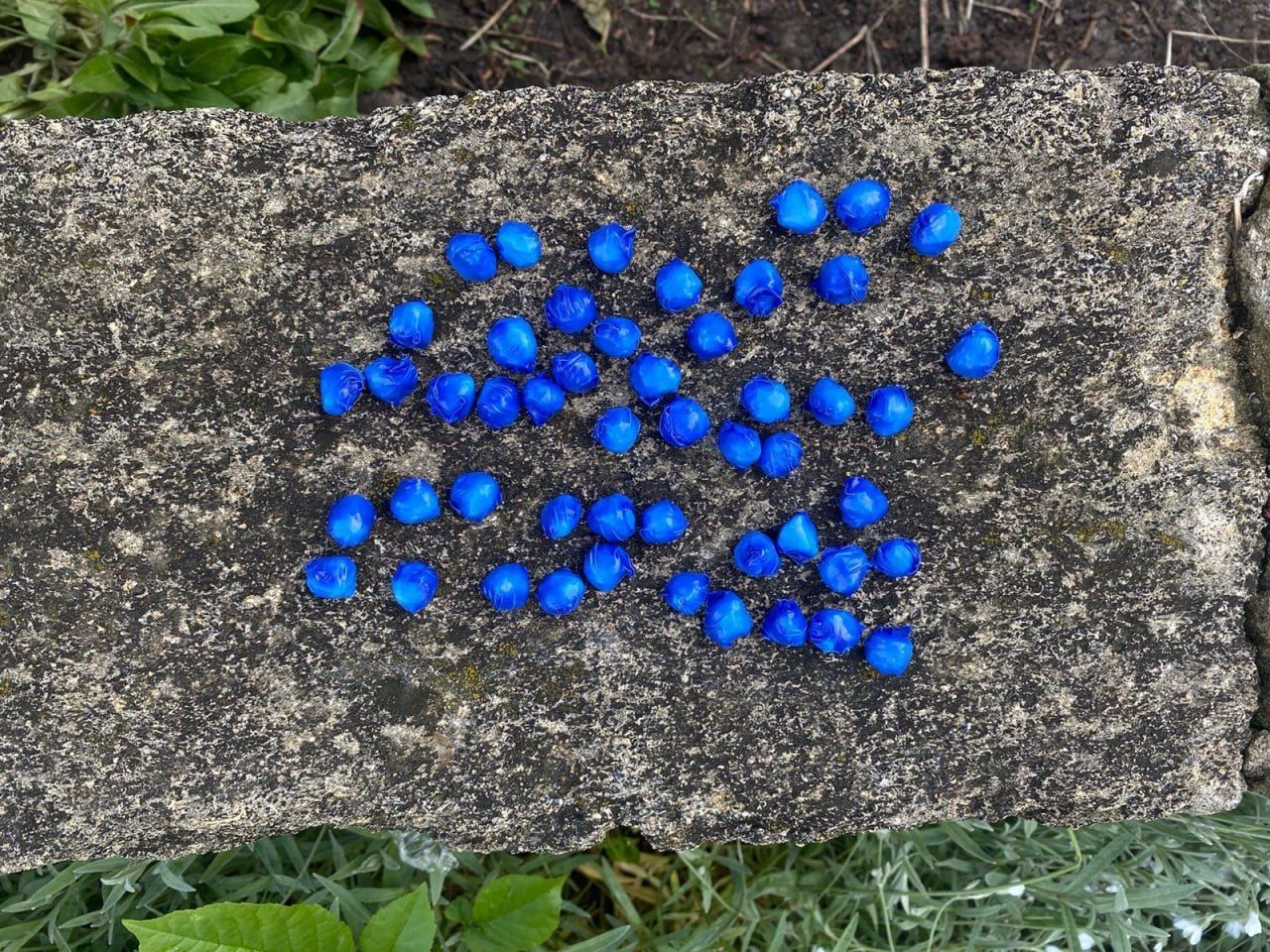 Иностранцев с героином задержали в Ставрополе