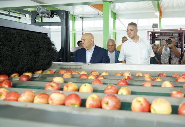 Садоводческие хозяйства Ставрополья осмотрел первый замминистра сельского хозяйства РФ Садоводческие хозяйства Ставрополья осмотрел первый замминистра сельского хозяйства РФ