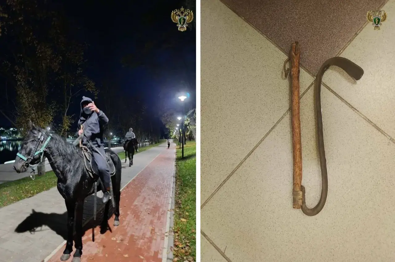4,5 года «строгача» получил всадник, напавший на пенсионеров в Кисловодске