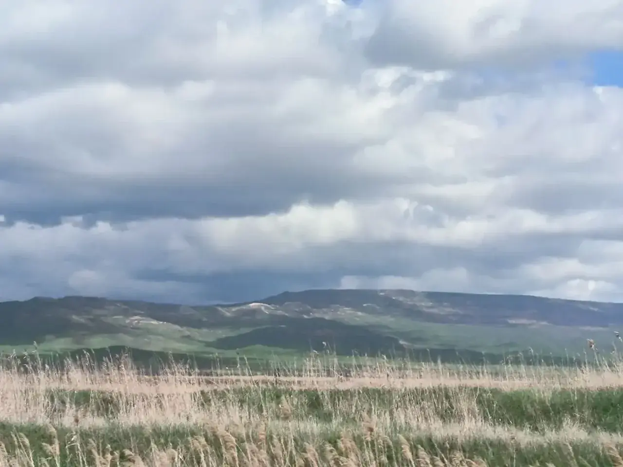 Новая неделя на Ставрополье начнется с дождей