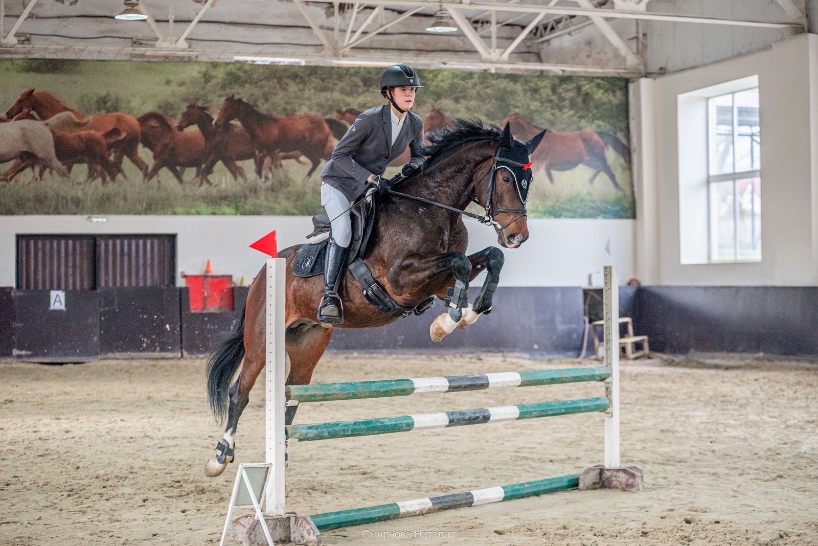 Ставропольские всадницы взяли золото и серебро на Зимнем кубке по конкуру