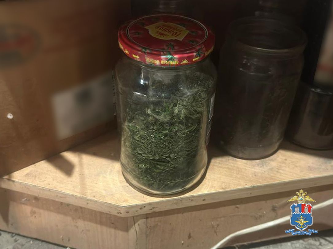 Пожилой ставрополец может получить 10 лет колонии за хранение наркотиков