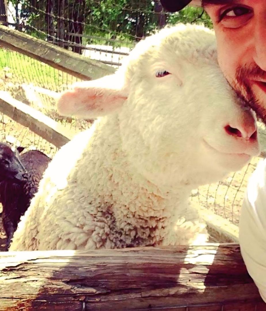 Фотосессии с барашками привлекают все больше туристов в Предгорный округ