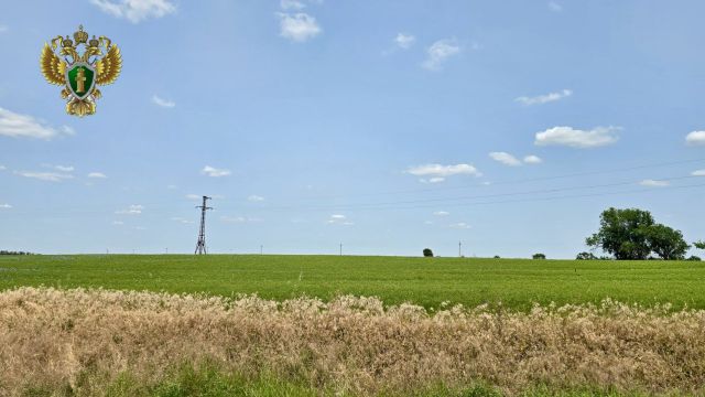 На Ставрополье аграриев оштрафовали за посевы на чужих землях