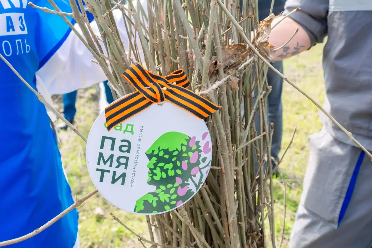 Ставропольские газовики высадили более 600 саженцев ясеня в рамках международной акции «Сад памяти»