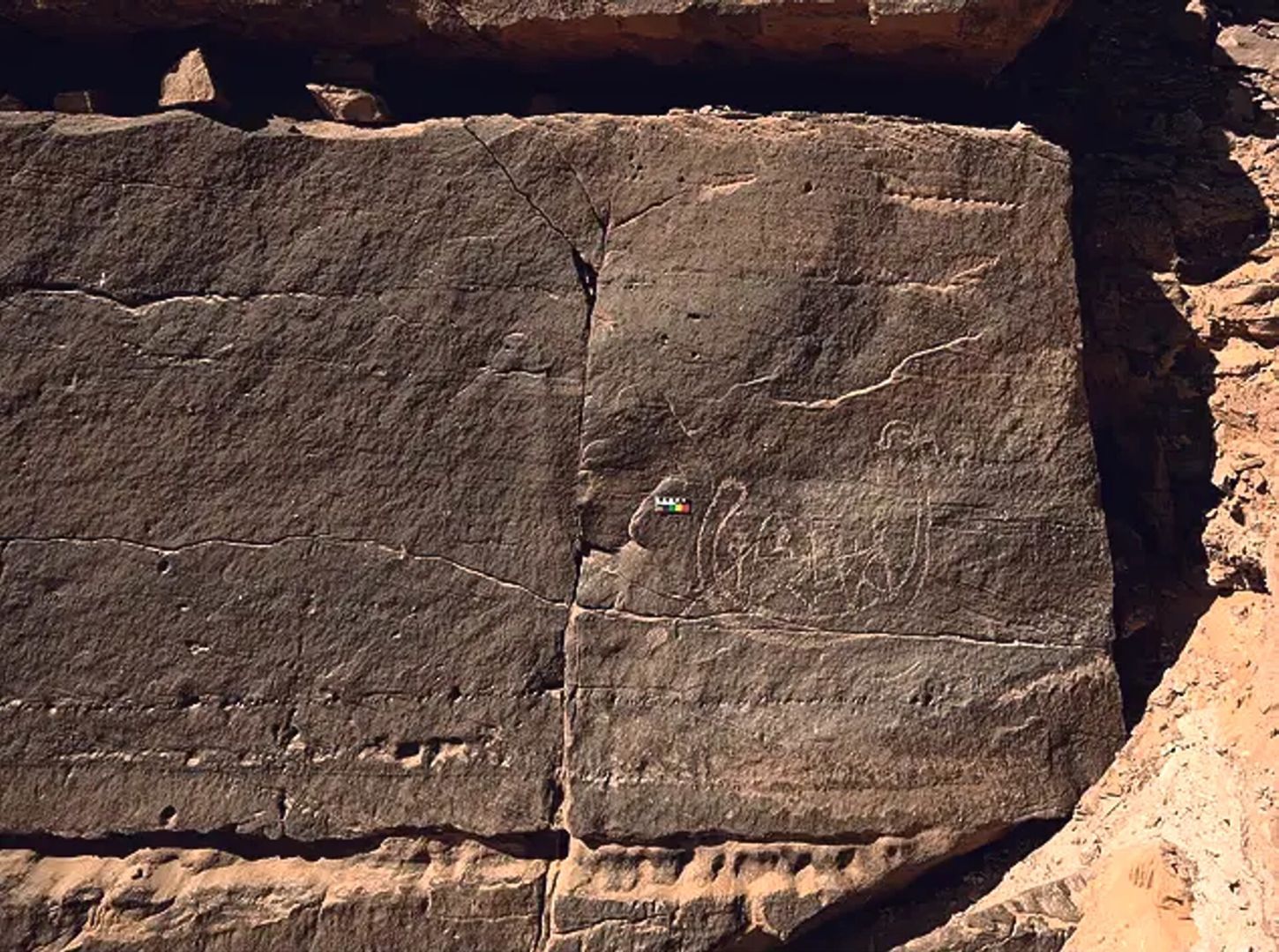 Археологи обнаружили редкую наскальную резьбу, раскрывающую тайны древних царей