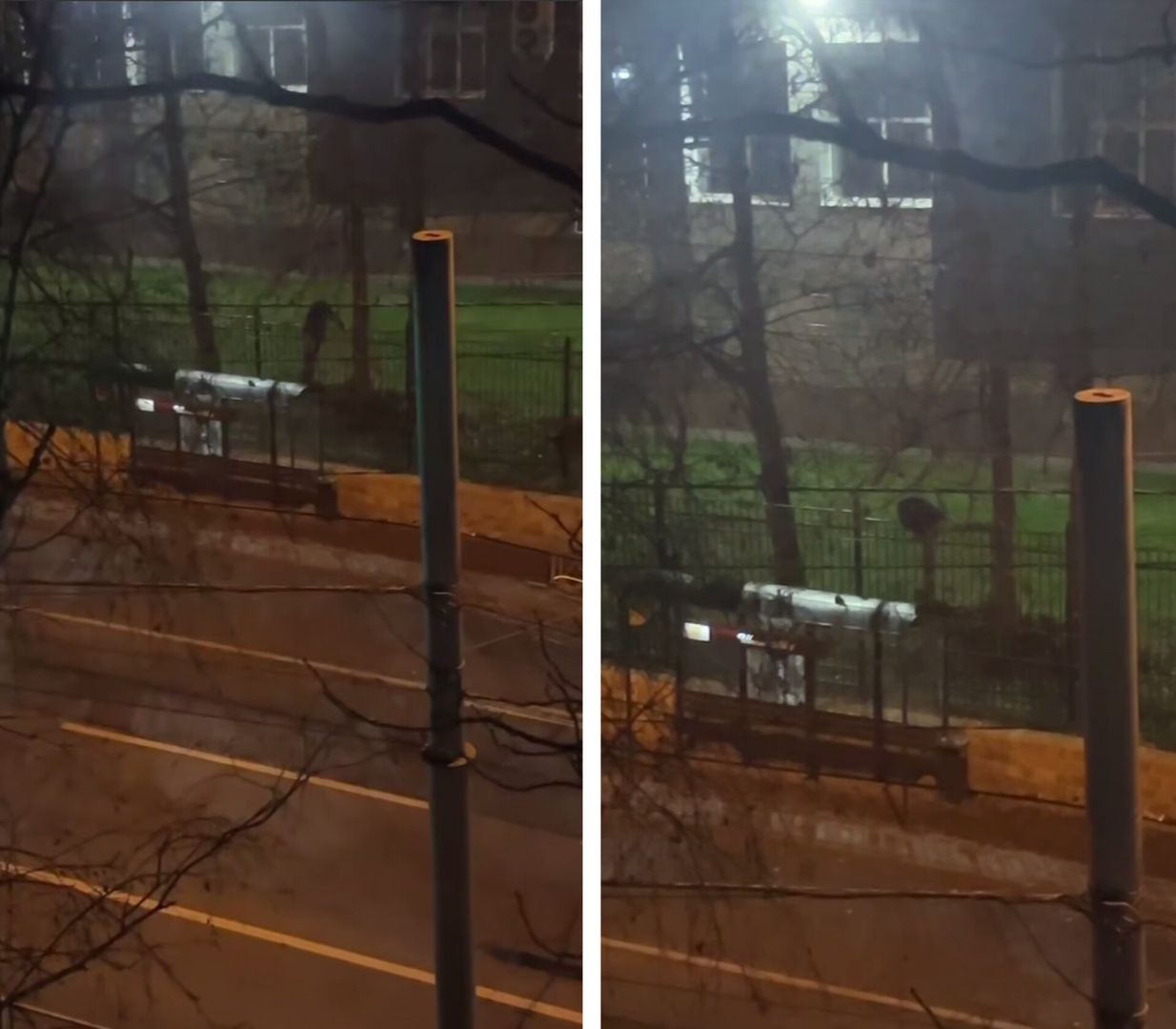 В Ставрополе ищут ночного вандала