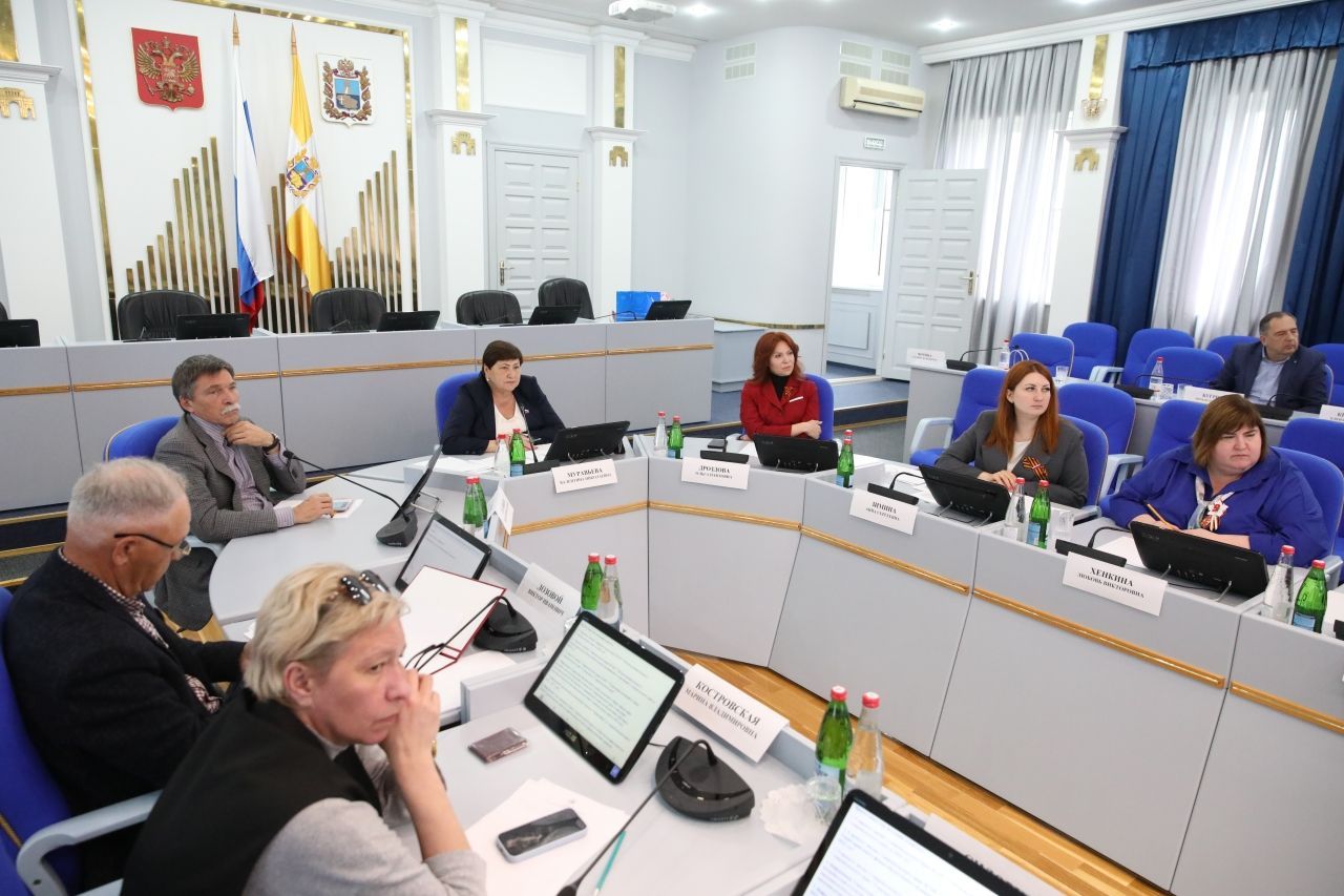 Депутаты Ставрополья отметили высокую эффективность расходования бюджета на соцсферу и здравоохранение