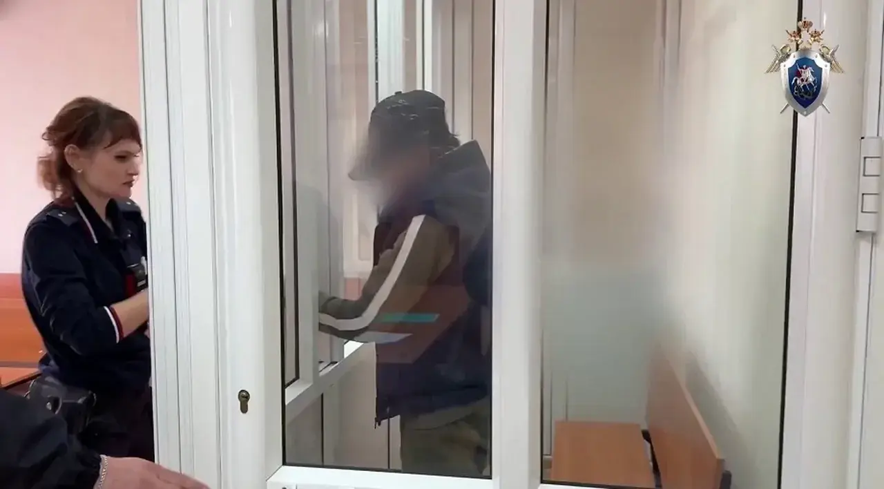 Ставропольчанку, убившую и расчленившую мужа, заключили под стражу в Невинномысске