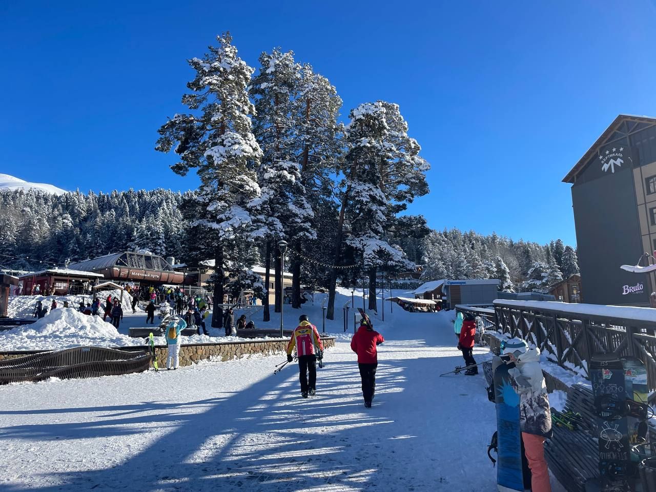 Связь на высоте: Билайн подготовил сеть для горнолыжников в Приэльбрусье