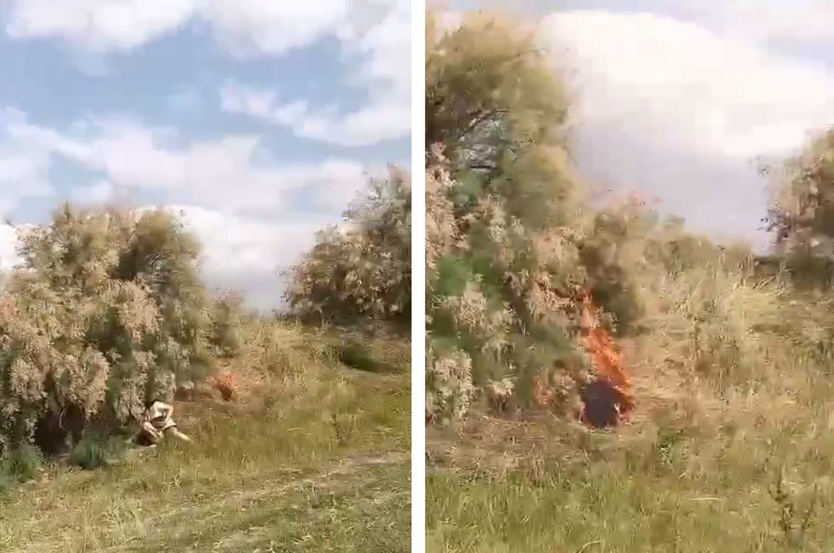 На Ставрополье сняли на видео поджигательницу сухой травы