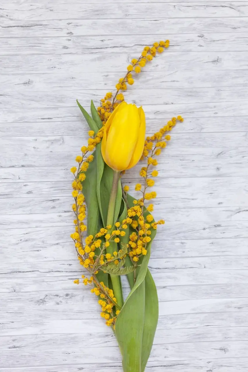 Ставрополь встретит Международный женский день творческими вечерами и мастер-классами