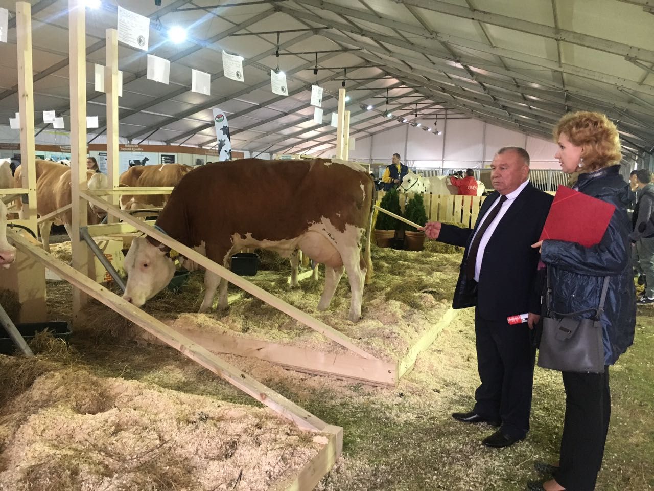 Ставрополье и Венгрия расширяют сотрудничество