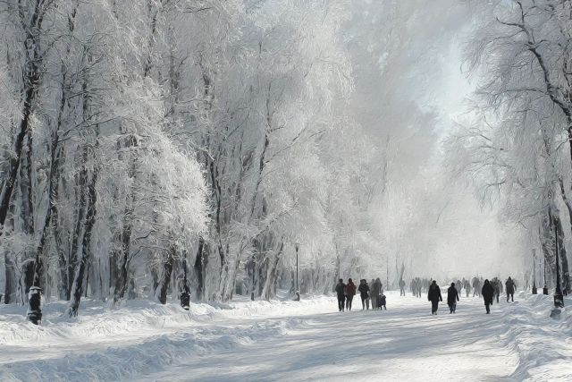 Почему все говорят о цифровом детоксе в декабре